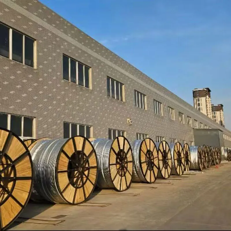 xinwen124 (2)